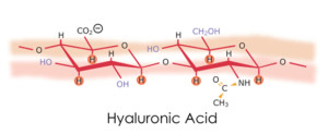 hyaluronicAcid